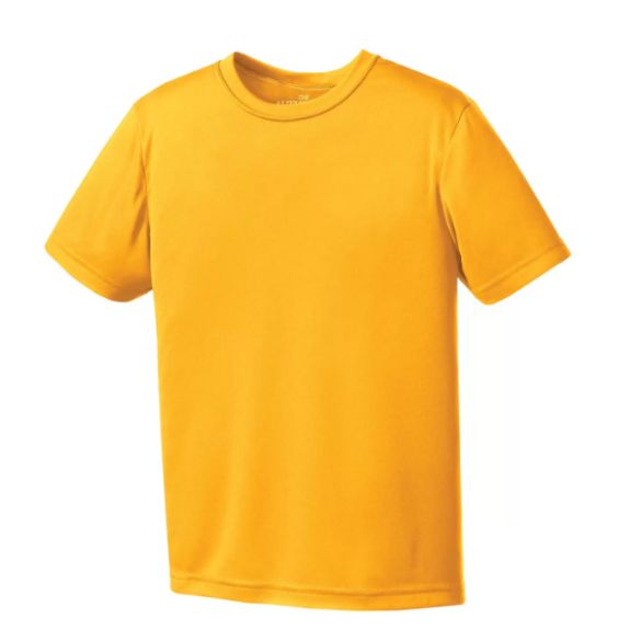 Camiseta juvenil de manga corta Gildan Atc Pro Team