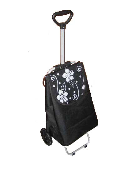 Trolley Bag With Pockets