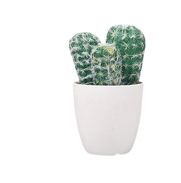 Faux cactus