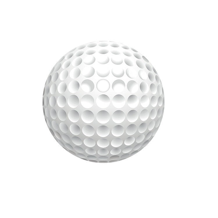 2 Layers Premium Golf Ball