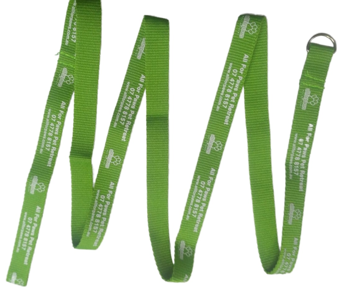 Laisse pour animal de compagnie de 152 cm