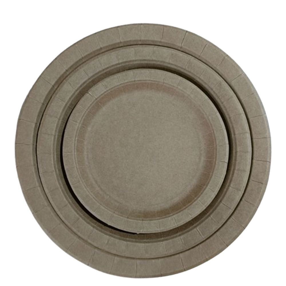 Assiette jetable de 9 pouces