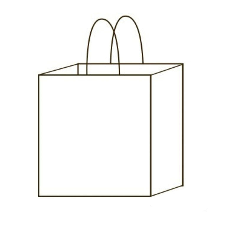 Kraft Paper Gift Bag With Handle