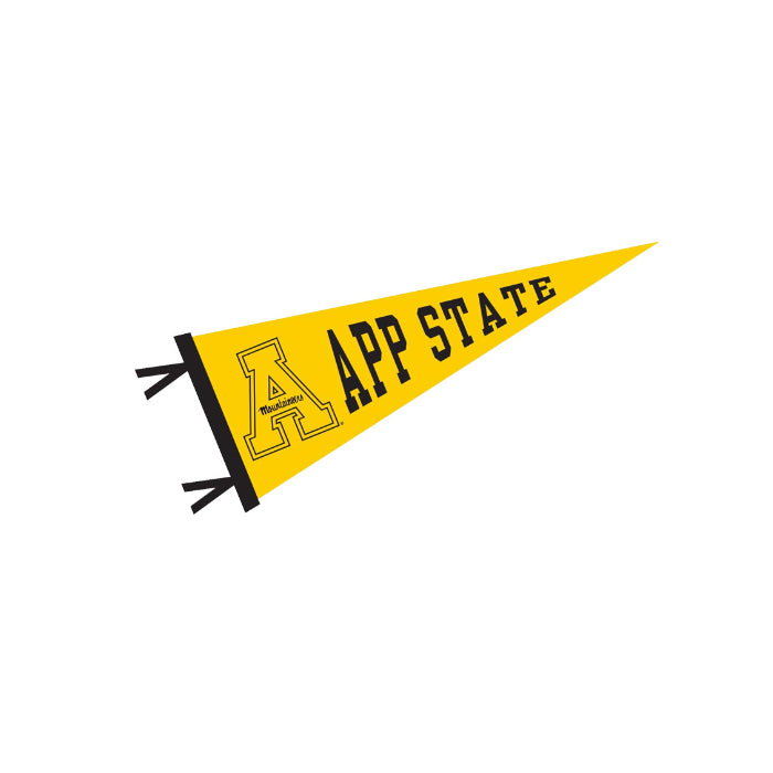 Felt Pennant Flag