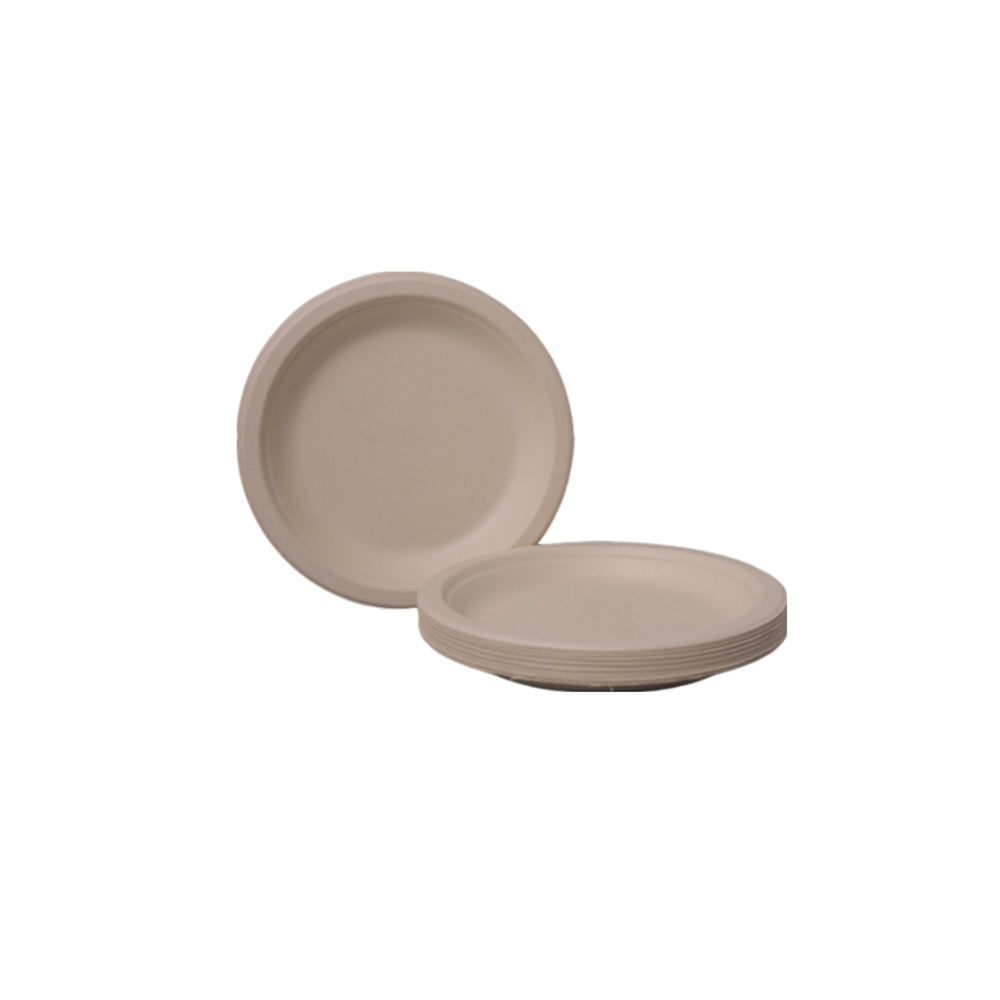 Plaque de papier de 10 pouces