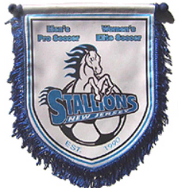 15 X 10 Inch Banner Flag