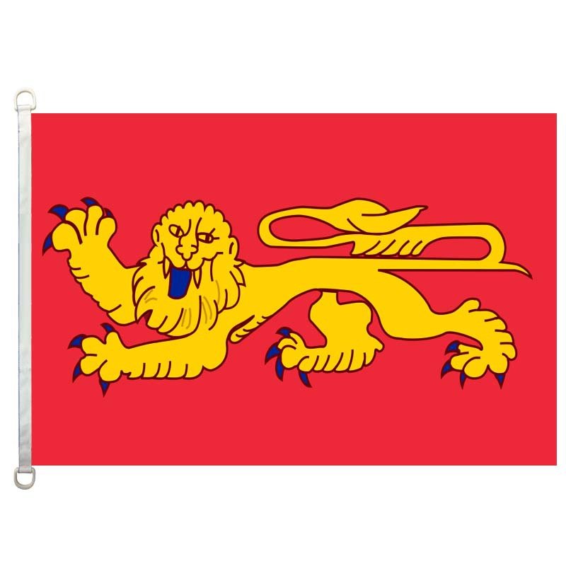 Custom Nylon Large Flag - Yorkn Inc✅