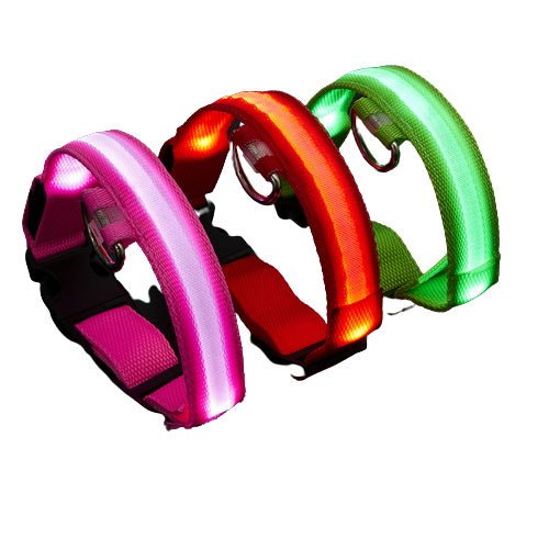 Led Dog Rechargeable Collar - Yorkn Inc✅