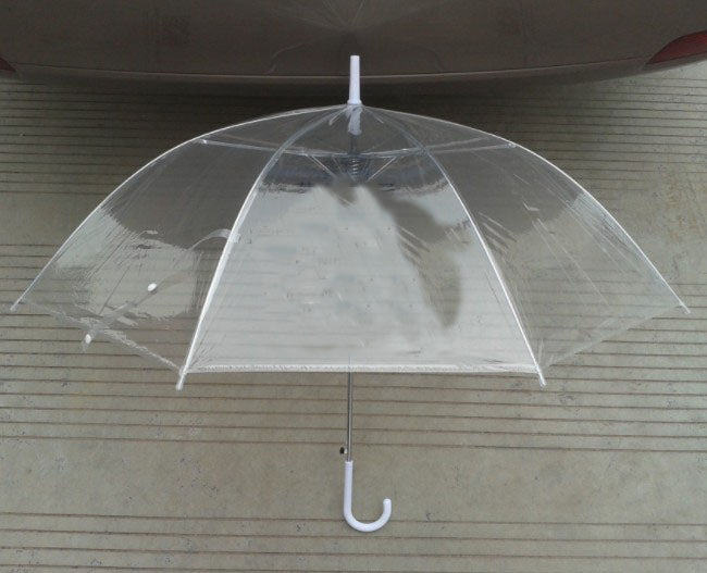 Wide Season Transparent Umbrella