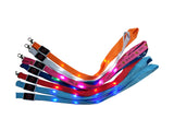 Led Lanyard