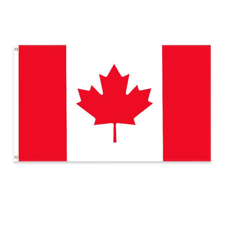 2x3 Ft World Cup Cheering Flag - Yorkn Inc✅