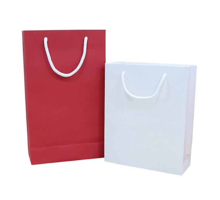 Paper Gift Bag Carrier