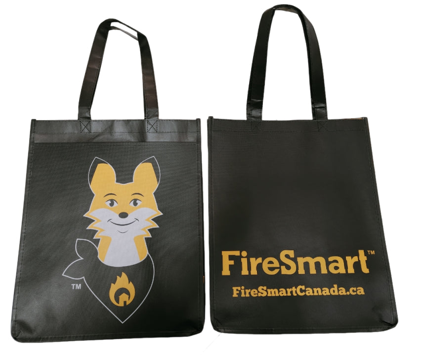 Laminated Non-woven Tote Bag With Pocket
