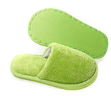 Winter Slipper
