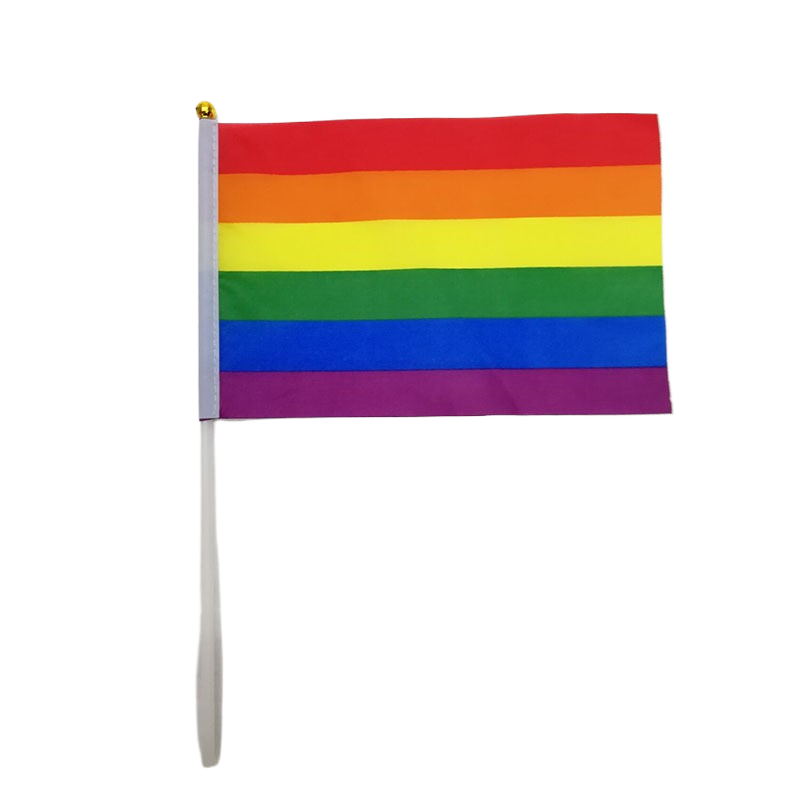 14x21cm Rainbow Flag