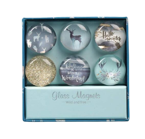 6 Pack Round Glass Refrigerator Magnet St