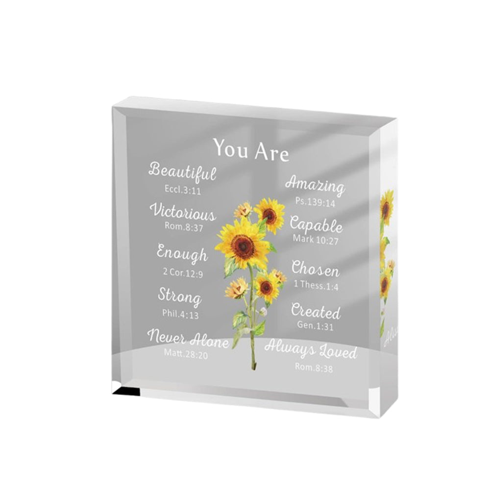 Clear Acrylic Decorative Ornament