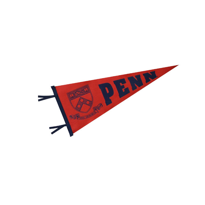 Bandera de banderín de fieltro 