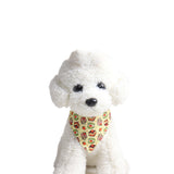 Bandana pour chien avec collier 