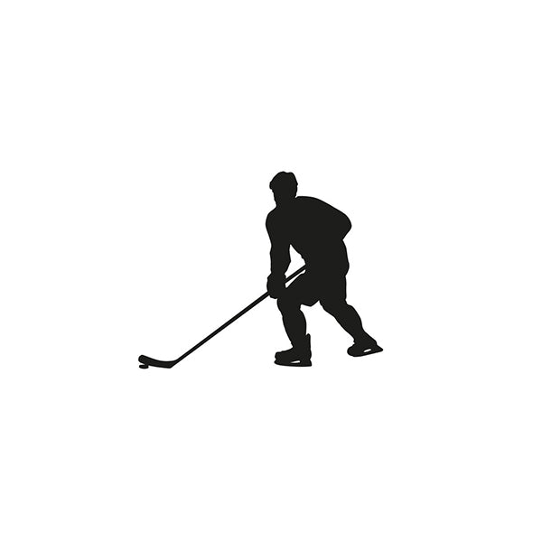 Ice Hockey Puck