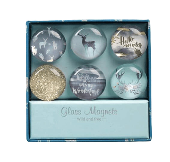 6 Pack Round Glass Refrigerator Magnet St - Yorkn Inc✅