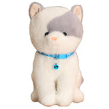 Jouet en peluche chat et chien 