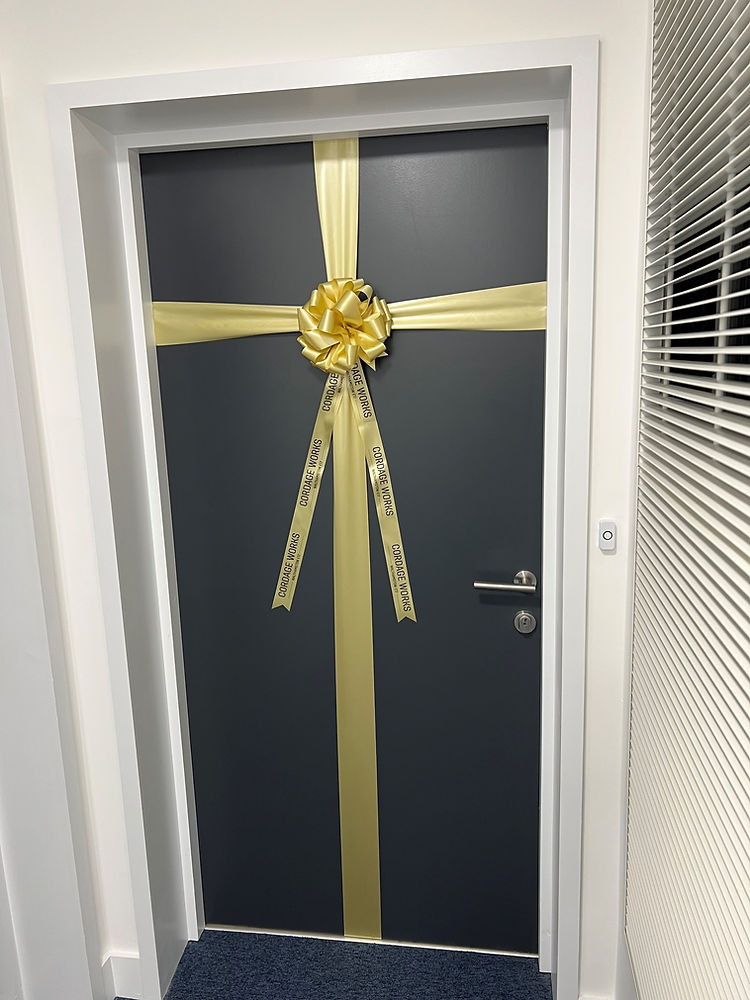 Noeud de porte luxueux en satin 