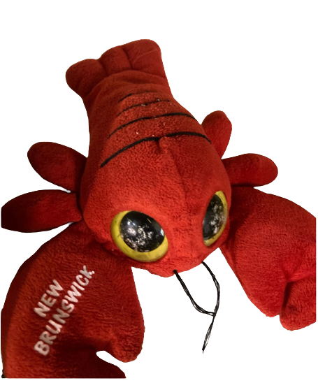 6inch Beanie Lobster - Yorkn Inc✅