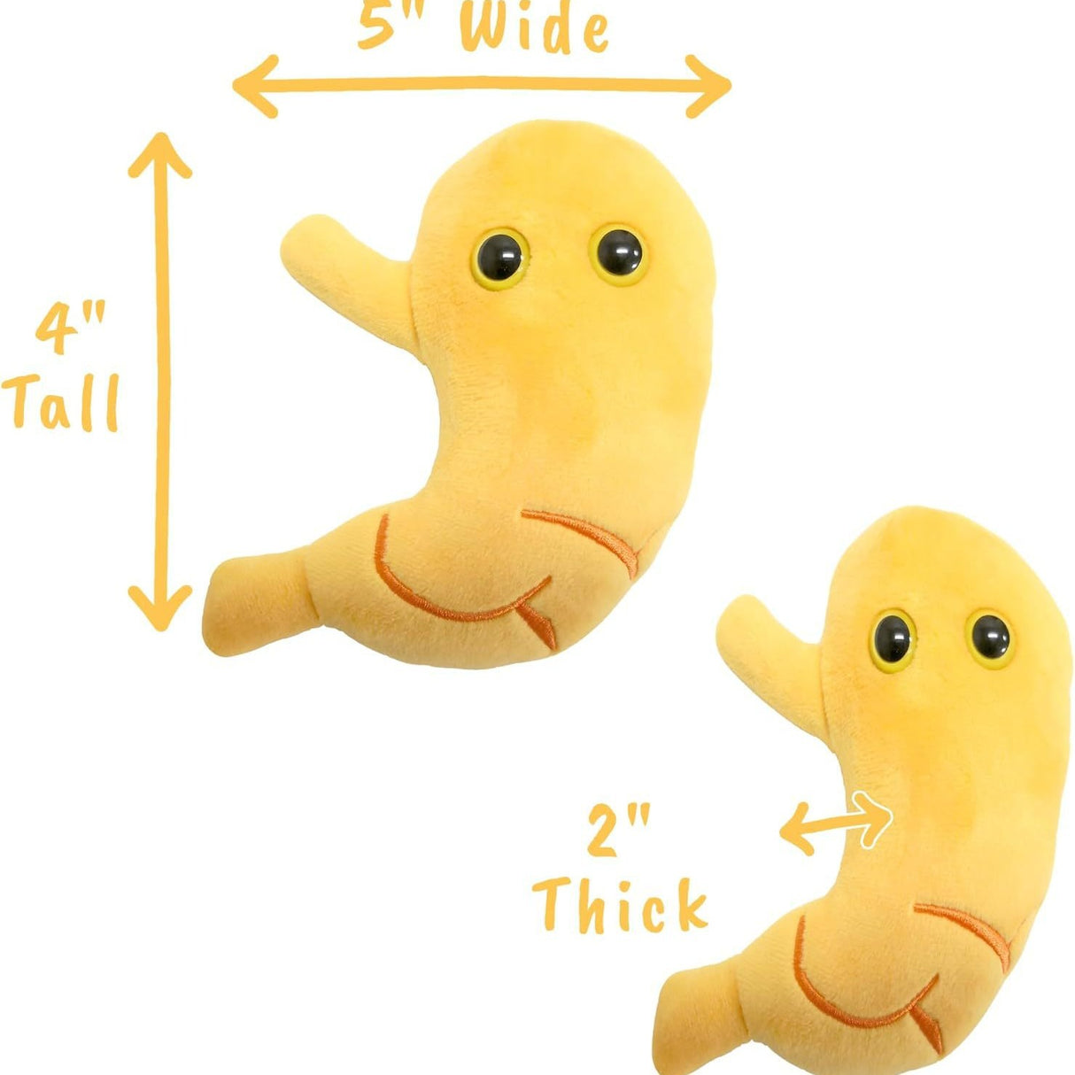 Peluche estomac 