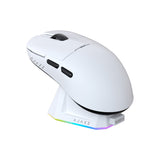 Wireless Gaming Mouse With Charging Dock
