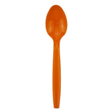 Plastic Spoon