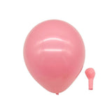 8 In Macaron Balloon - Yorkn Inc✅