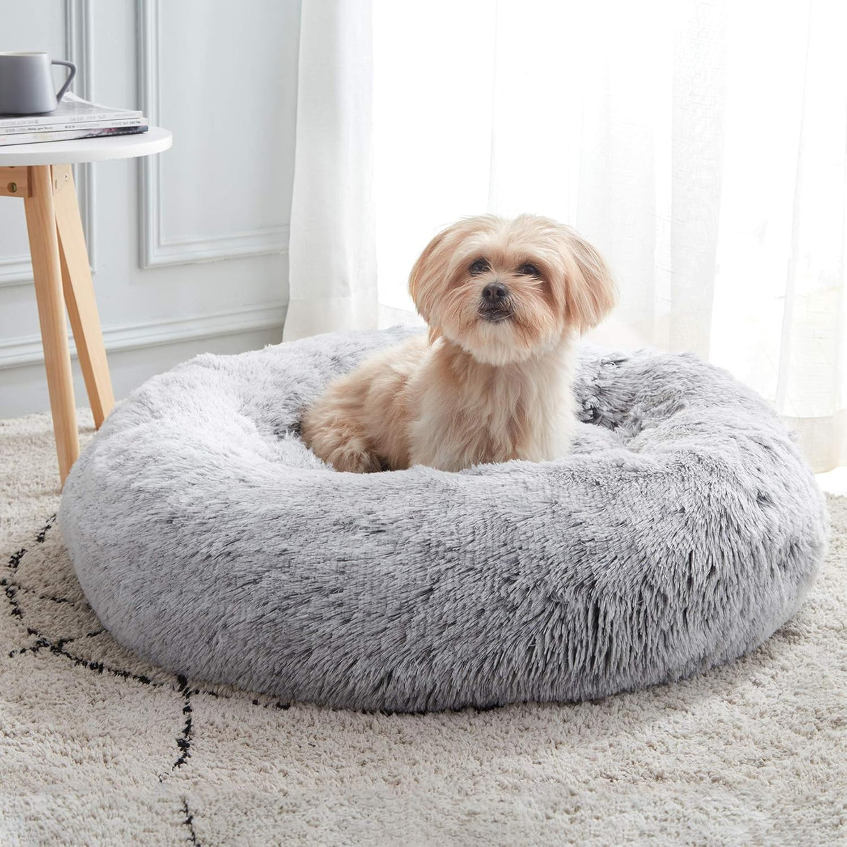 Cama para perros y gatos 