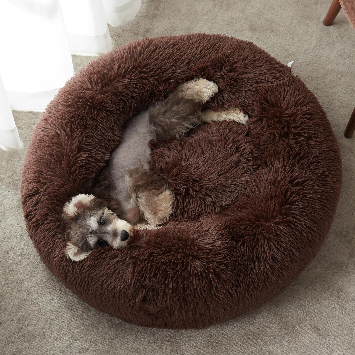 Cama para perros y gatos 