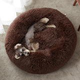 Cama para perros y gatos 