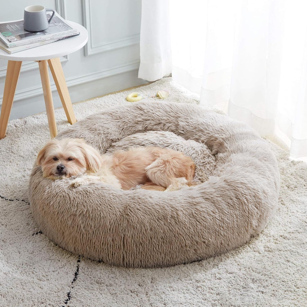 Cama para perros y gatos 