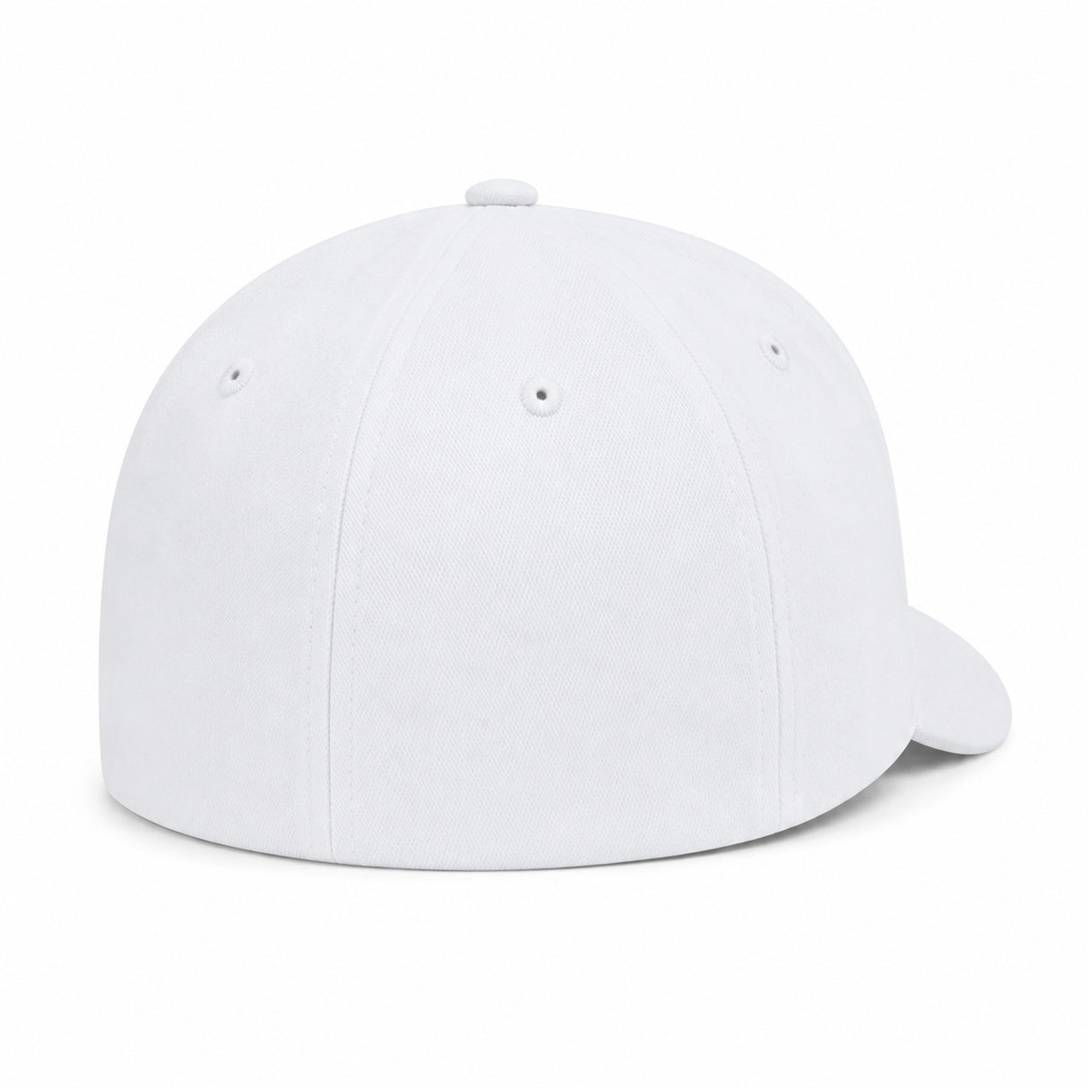 6 Panel Flex Fit Cap