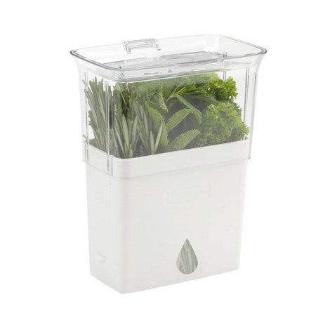 Acrylic Herb Storage Keeper Container - Yorkn Inc✅