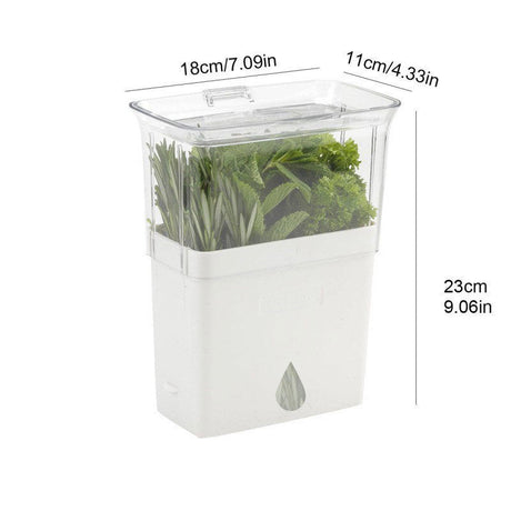 Acrylic Herb Storage Keeper Container - Yorkn Inc✅