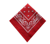 Bandanna Scarf Face Mask - Yorkn Inc✅