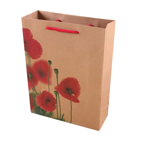 Brown Paper Gift Bags - Yorkn Inc✅