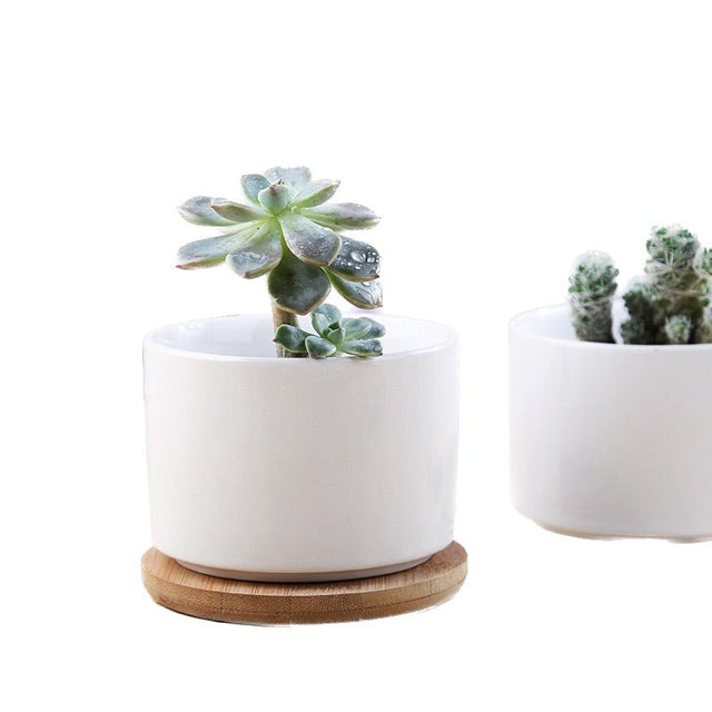 Ceramic Pot With Bamboo Stand - Yorkn Inc✅