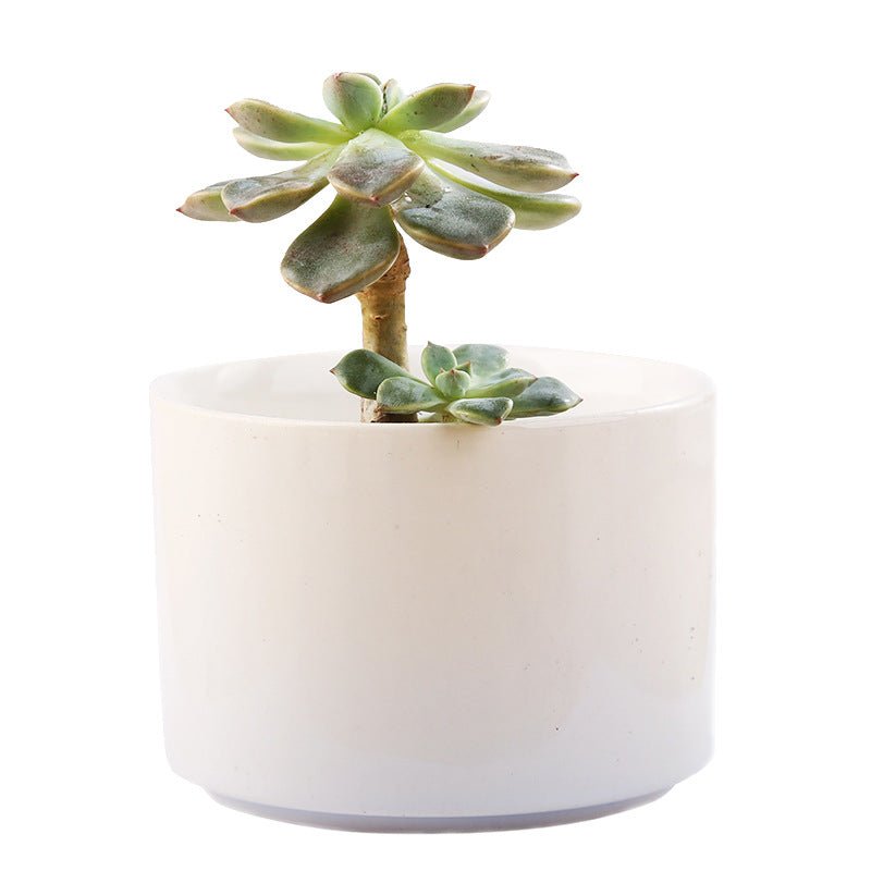 Ceramic Pot With Bamboo Stand - Yorkn Inc✅