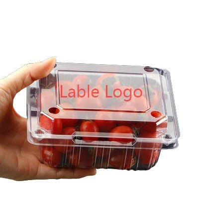 Clear Square Hinged Food Container - Yorkn Inc✅
