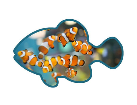 Custom Wooden Token - Yorkn Inc✅