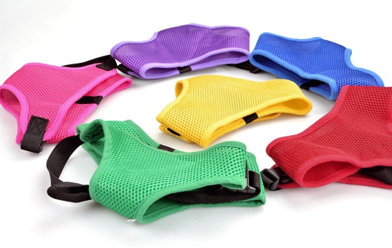 Dog Mesh Vest - Yorkn Inc✅