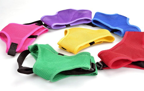 Dog Mesh Vest - Yorkn Inc✅