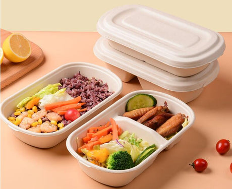 Eco - friendly Take Out Container - By Boat - Yorkn Inc✅