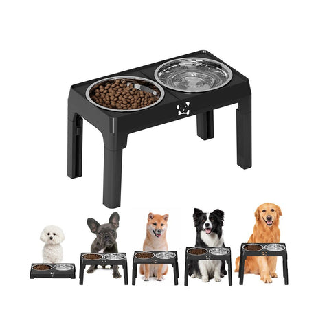 Elevated Dog Bowls - Yorkn Inc✅
