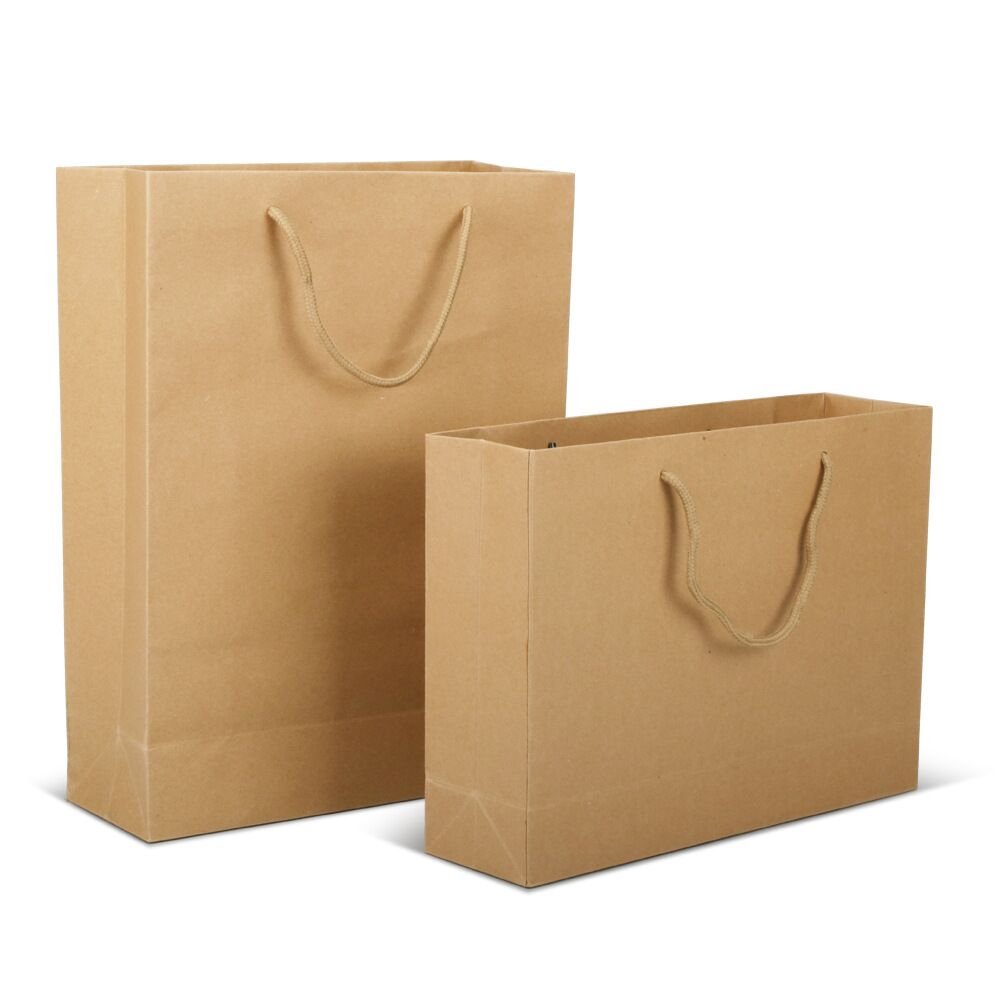 Kraft Paper Shopping Bags - Medium - Yorkn Inc✅